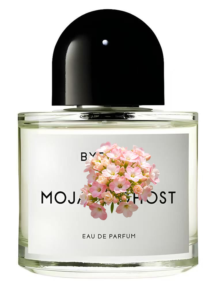 عطر للجنسين 100 مل 3.4 أونصة س - مراجعة Amber Musk Oil وسعره